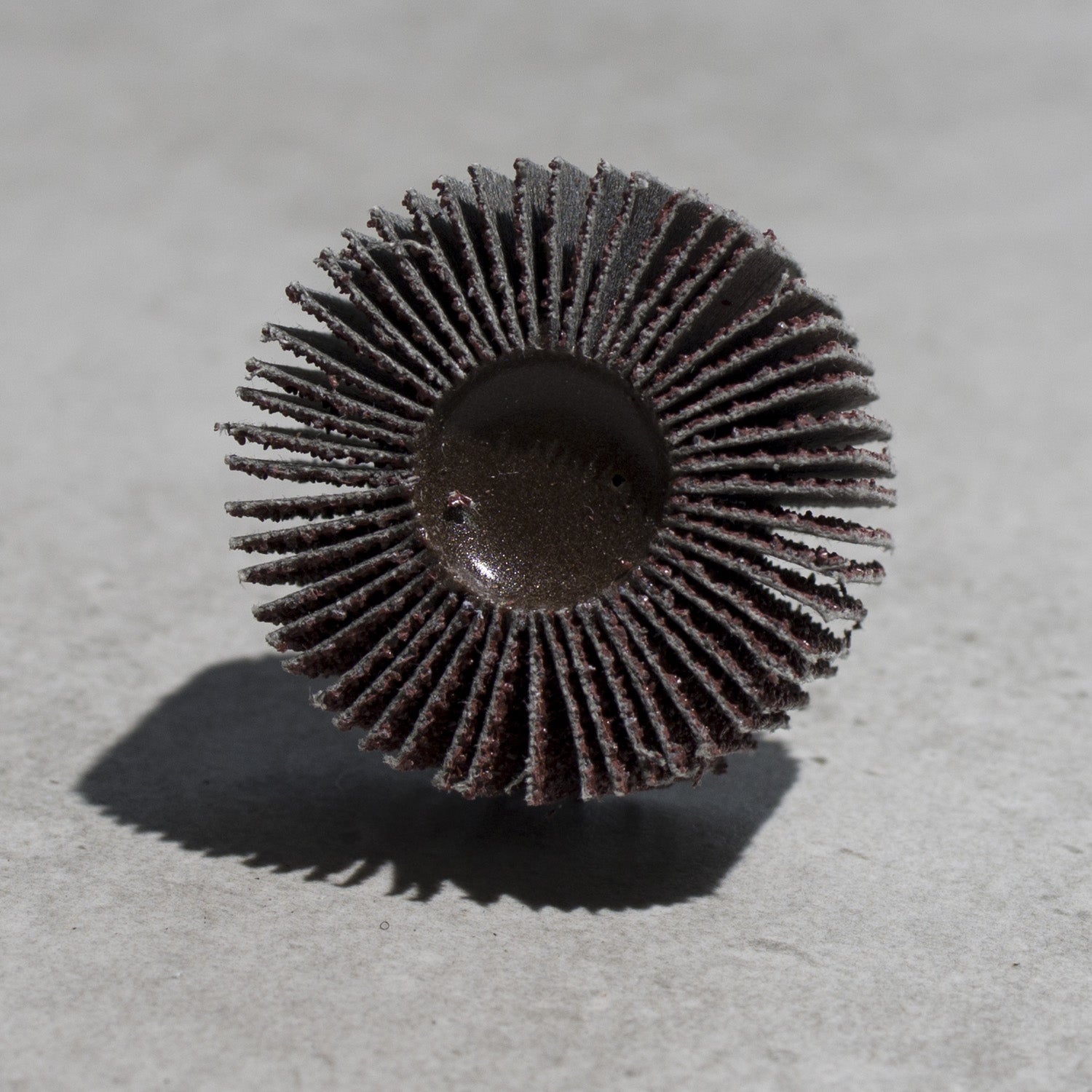 Lamellenschleifscheibe 40x20mm P40